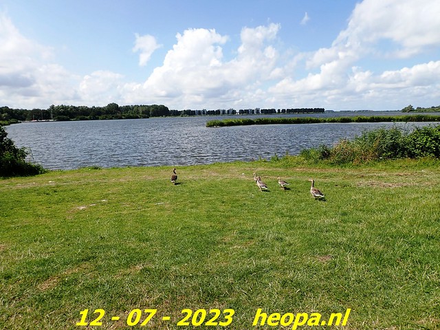 2023-07-12 Almere    Oostvaarders (5)