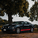 Fastback GT 2014 Black