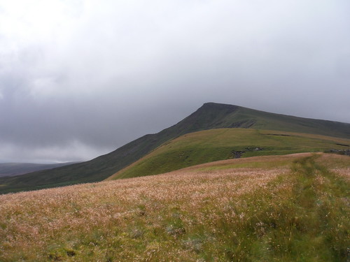 Backview to The Nab from Low Dolphinsty SWC Walk 416 - Wild Boar Fell (Garsdale to Kirkby Stephen)