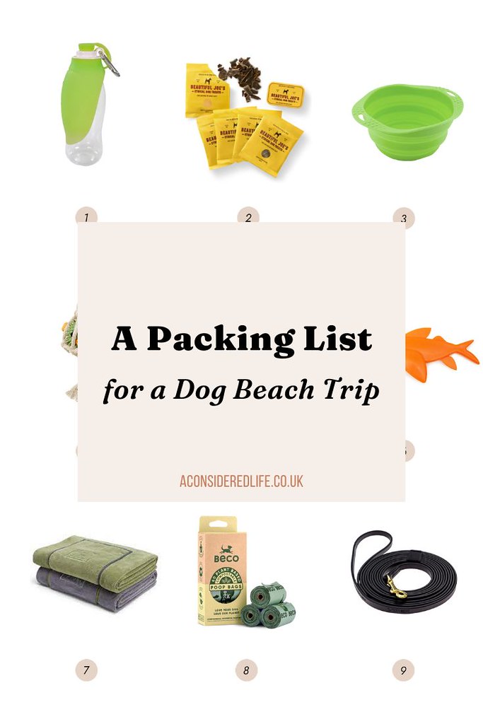 A Packing List for a Dog-Friendly Beach Trip
