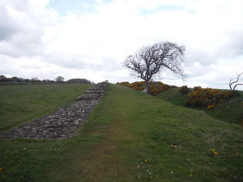 Black Carts Wall (200m of it) SWC Walk 413 - Hadrian's Wall Path Core Section (Lanercost to Halton Chesters)