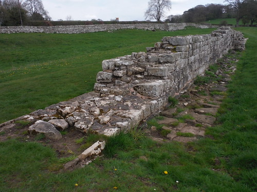 Wall at Planetrees; part Broad Wall, part Narrow Wall SWC Walk 413 - Hadrian's Wall Path Core Section (Lanercost to Halton Chesters)