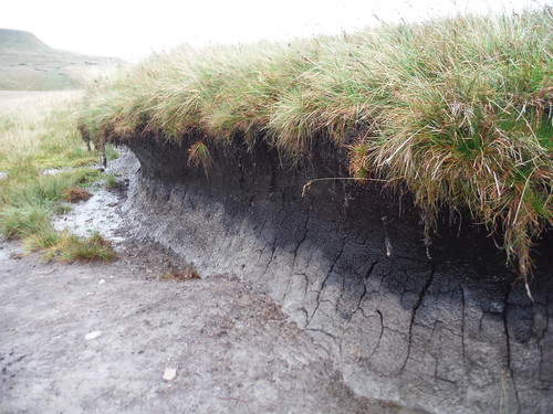 Peat Hag near Swarth Fell Tarn SWC Walk 416 - Wild Boar Fell (Garsdale to Kirkby Stephen)