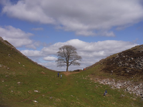 Sycamore Gap SWC Walk 413 - Hadrian's Wall Path Core Section (Lanercost to Halton Chesters)
