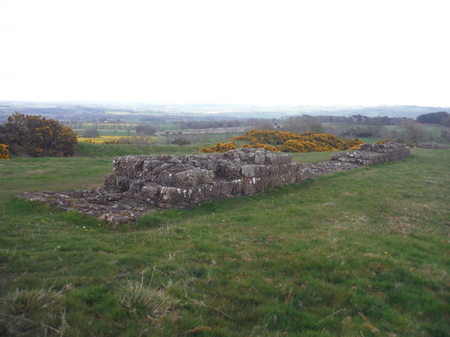 Black Carts Wall SWC Walk 413 - Hadrian's Wall Path Core Section (Lanercost to Halton Chesters)