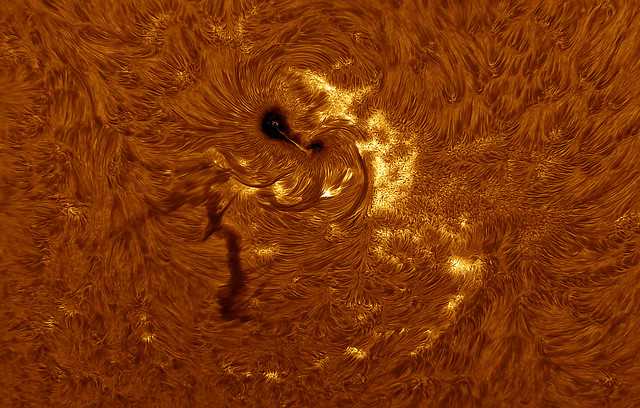 Sun in H-alpha AR13363 detail 11 Jul 2023 15h33m10s ZWO ASI174MM Exposure=3.0ms Gain=240 W 153-1250 Quark-Lunt DS Psp-colored
