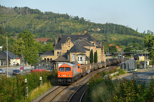 Des Tigers neues Gewand | by Stahnsdorfer