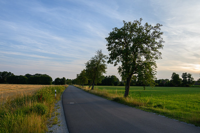 summer evening, Isselhorst (Gütersloh)