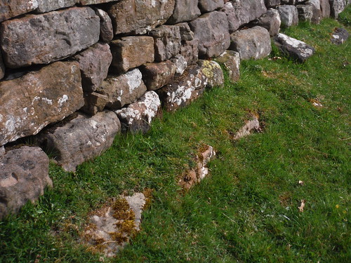 Narrow Wall on Broad Wall base SWC Walk 413 - Hadrian's Wall Path Core Section (Lanercost to Halton Chesters)
