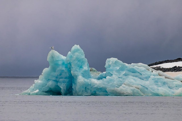 Spitzberg - The blue ice.
