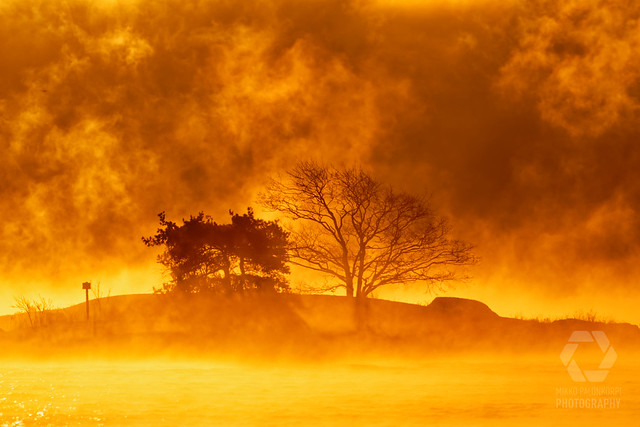 Flaming morning sunrise behind rocky island and  two trees