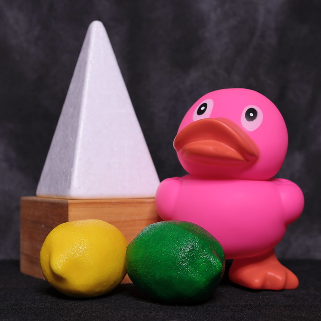 The Rubber Duck Conspiracy, Part 1