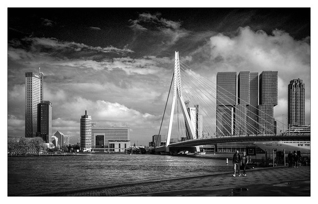 Erasmusbridge, Rotterdam