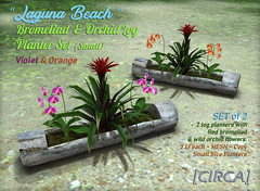 Secret Sale Wknd Deal ! - [CIRCA] - "Laguna Beach" Bromeliad & Orchid Log Planter Set - Violet & Orange