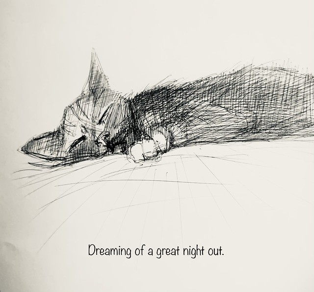 Sleeping Cat Portrait in Ballpoint pen only, by jmsw on sketch book card today.