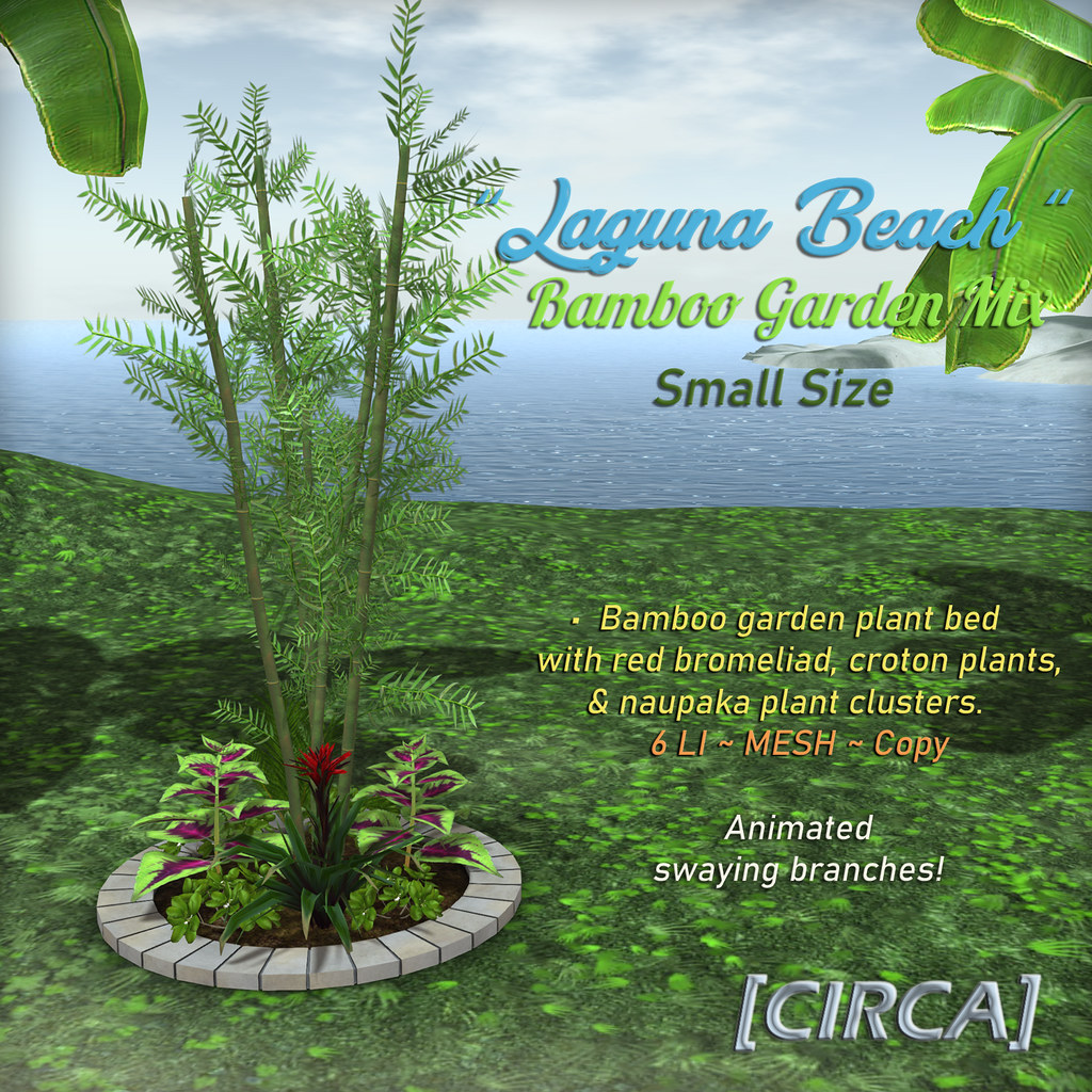Secret Sale Wknd Deal ! – [CIRCA] – "Laguna Beach" Bamboo Garden Mix – Small