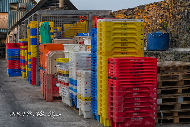 Colourful Fish boxes in the setting sun