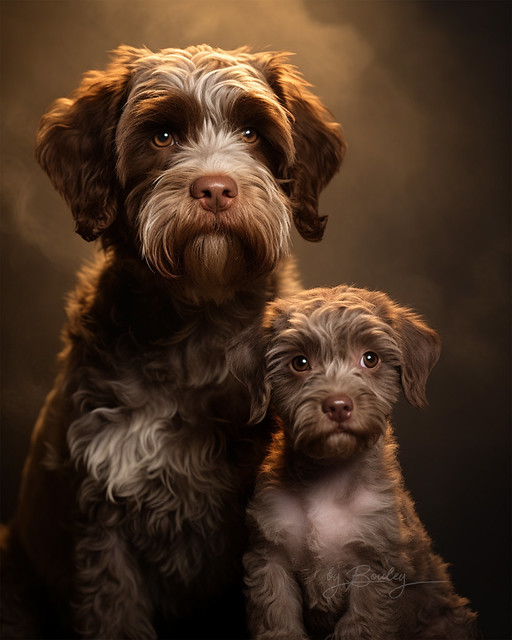 Lagotto Romagnolo with Pup