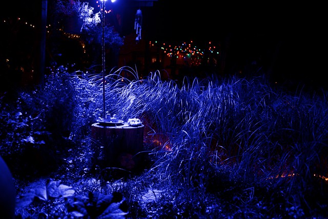 Night Lighting at a High Country Garden
