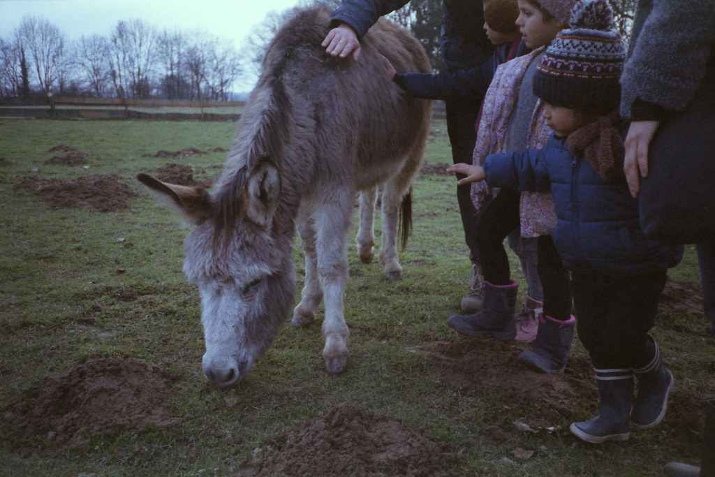 Visit @ the farm with the kids. (35mm) | Exp. 01/2005 Agfa HDC Plus 200.