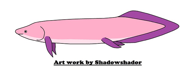 Extinct lungfish (†Retodus tuberculatus)