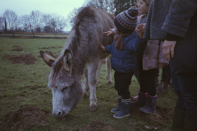 Visit @ the farm with the kids. (35mm) | Exp. 01/2005 Agfa HDC Plus 200.