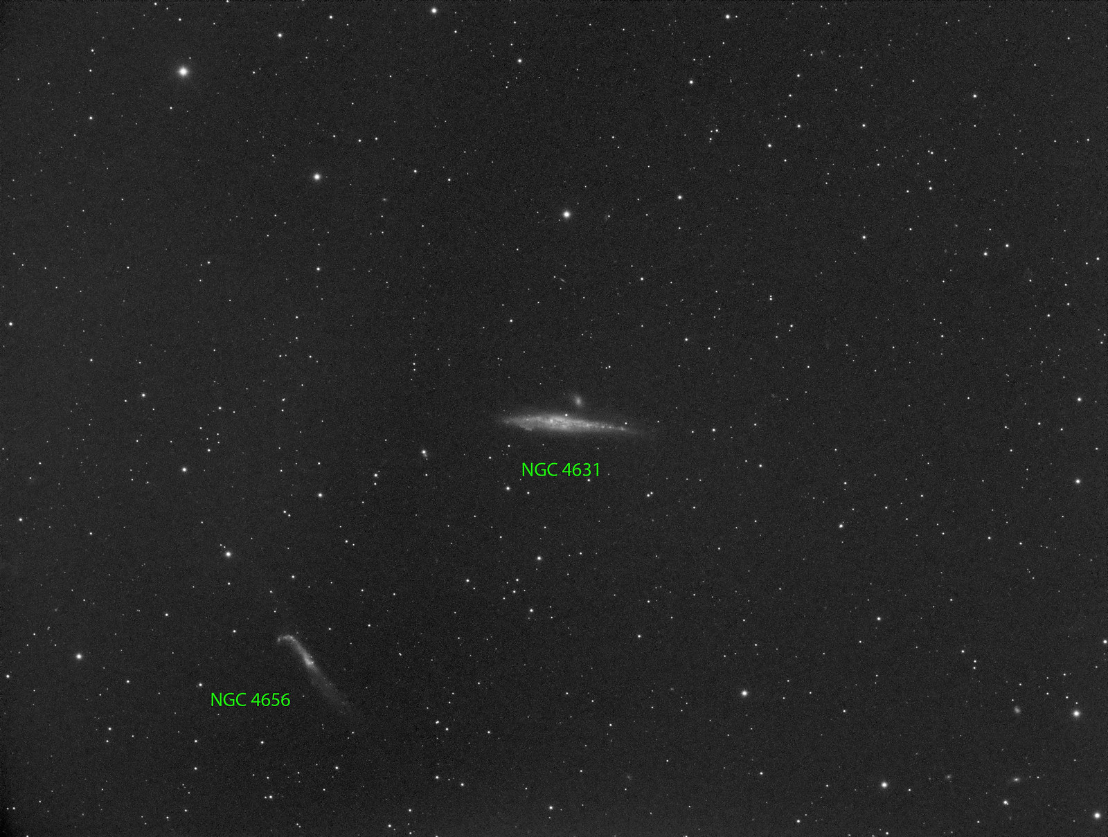 032 - NGC 4631  - Luminance