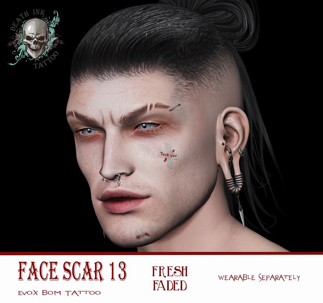 FACE SCAR Evox 13