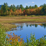 9-29-22, Alton, NH Along the Henry Wilson Highway, 1.1 miles southeast of Alton, NH.