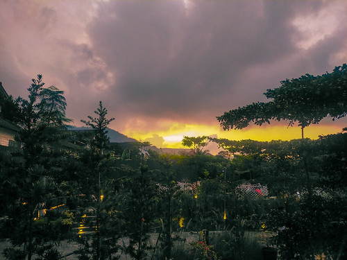 gold sky white cloud green garden trees golden evening batu malang indonesia jatim jawatimur