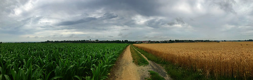 Yeoman's Yellows VI by AnnaLittleAlice, On the Chemin du Mont de Sorrus, facing Montreuil-sur-Mer.

A panoramic picture of the small town of