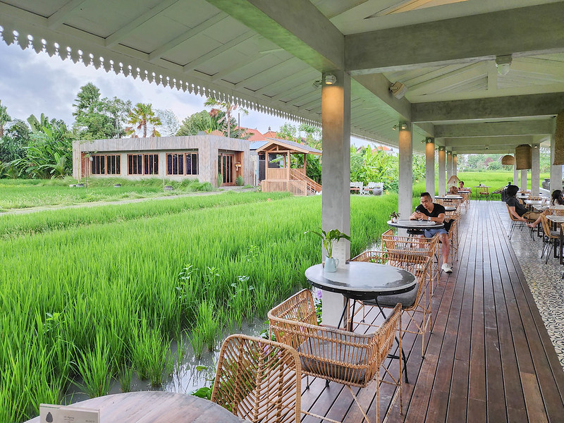 dining beside the rice fields in nook
