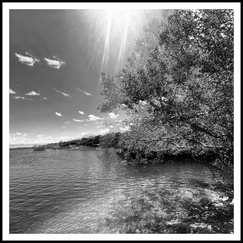 John Pennekamp Coral Reef State Park Trail