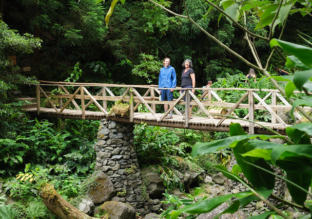 Footbridge in the Grená nature park, Azores
