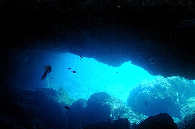 Lanzarote-201203-PlayaChica-Cave-Jellyfish-MauveStinger3-InCave-ID-PelagiaNoctiluca-Avg