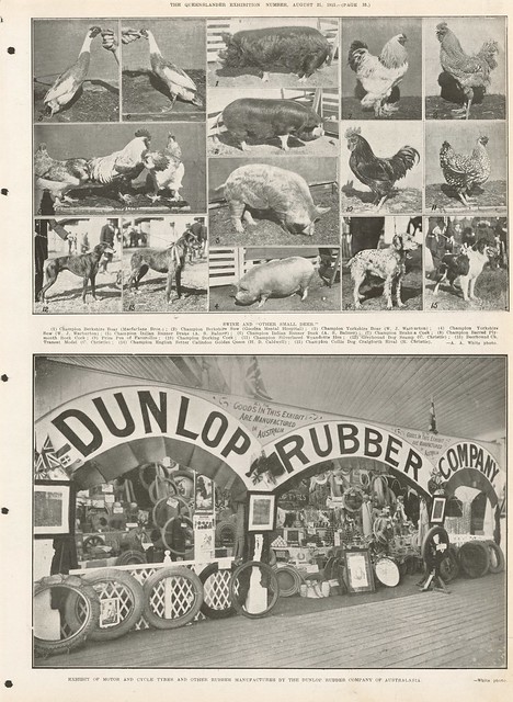 Page 33 of The Queenslander Pictorial, supplement to The Queenslander, 21 August 1915