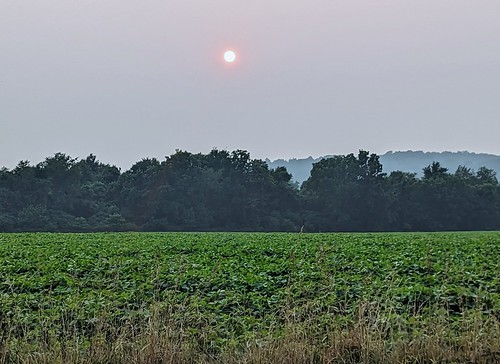 hazy sunset portage county ohio july evening pixel6
