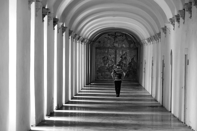 a man in the cloister