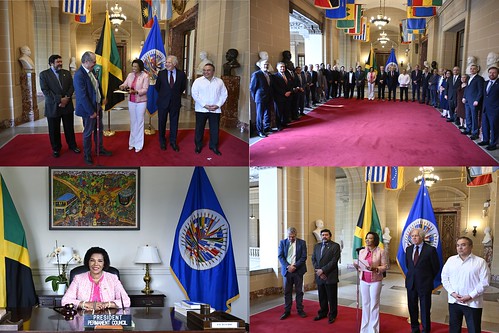 Jamaica Assumes Chair of the OAS Permanent Council