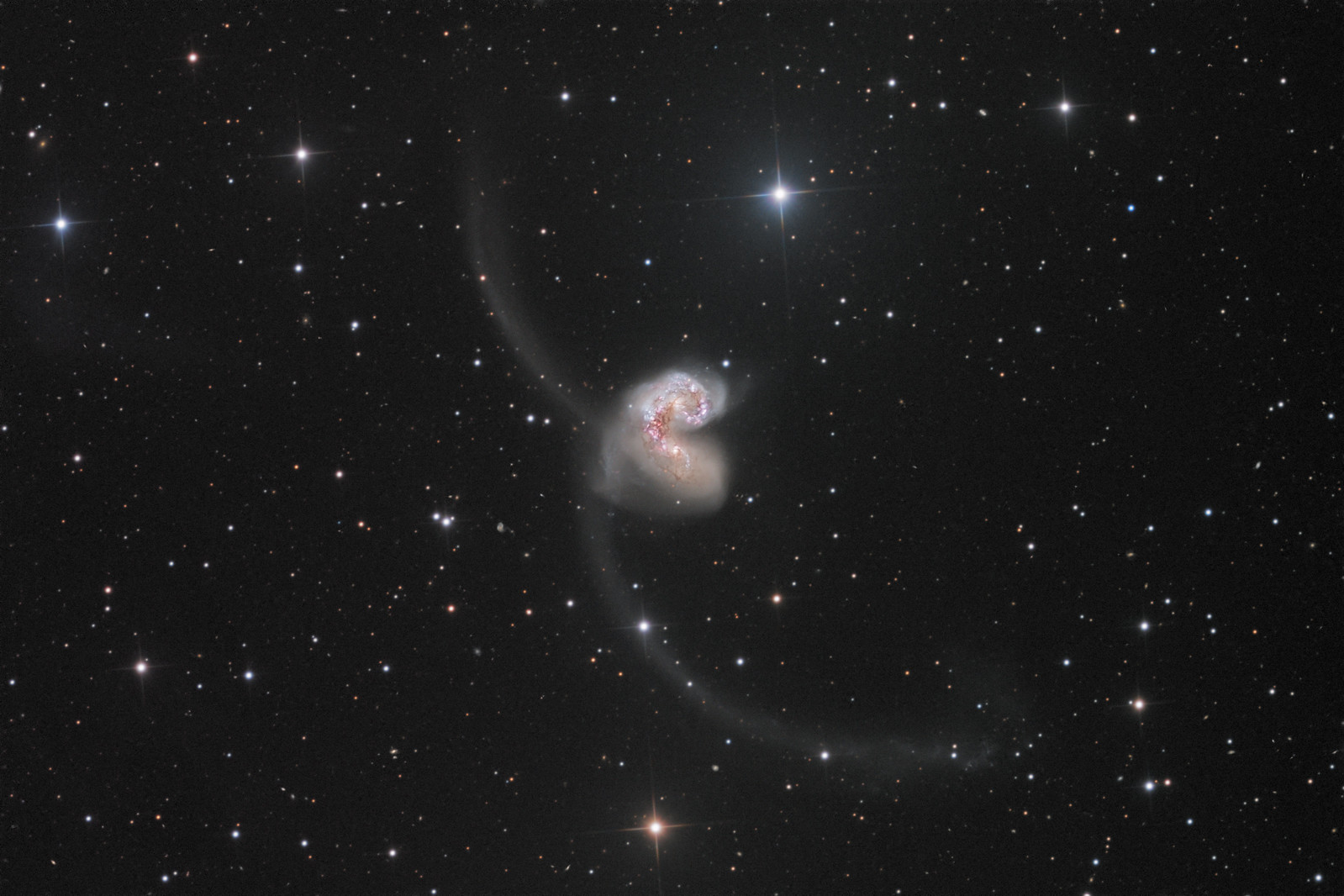 NGC 4038 + 9 - LRGB