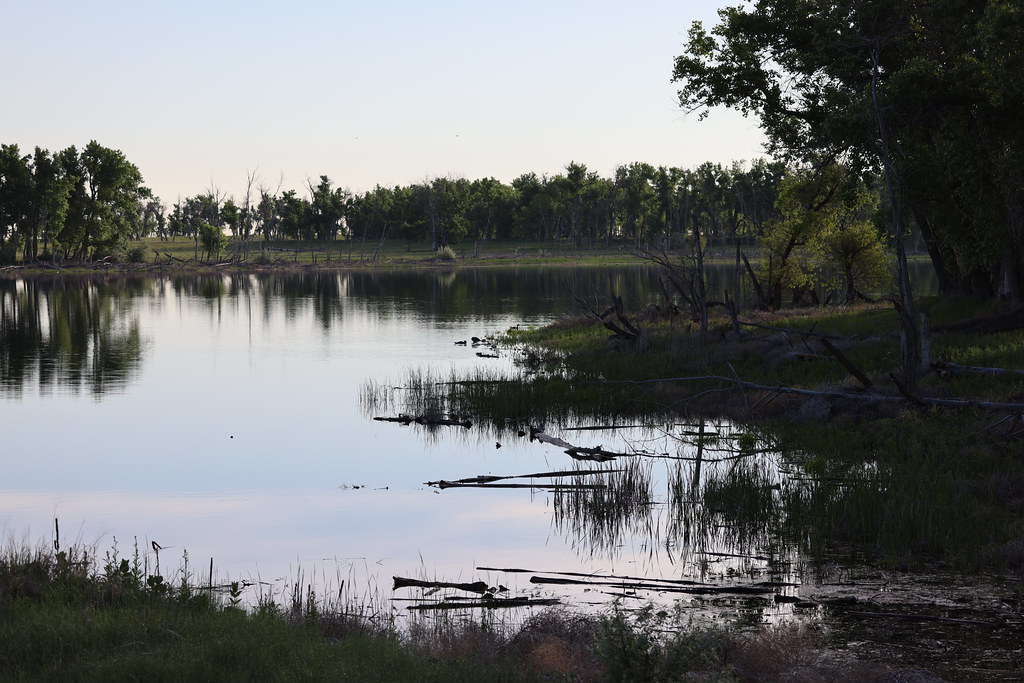 Visit to Rocky Mountain Arsenal National Wildlife Refuge (Adams County, Colorado) - June 7th, 2023