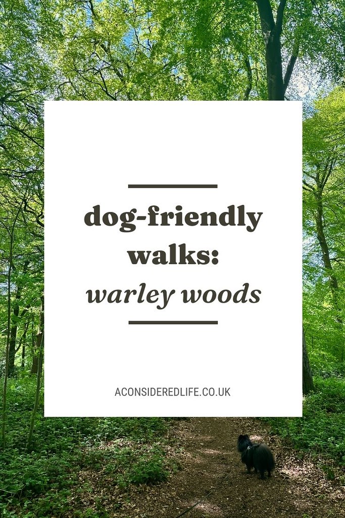 Warley Woods | Dog-Friendly Walks