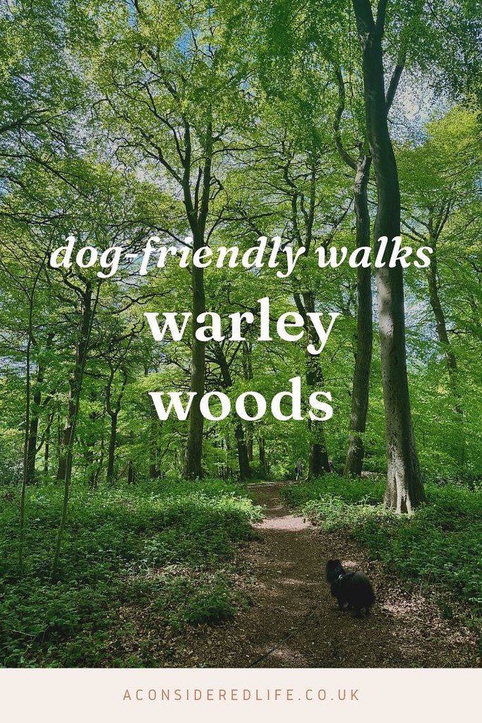 Warley Woods | Dog-Friendly Walks
