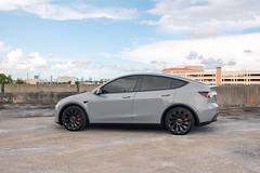 Tesla Model Y Color PPF + Solar Tints Gloss Light Grey + Custom Emblems ++