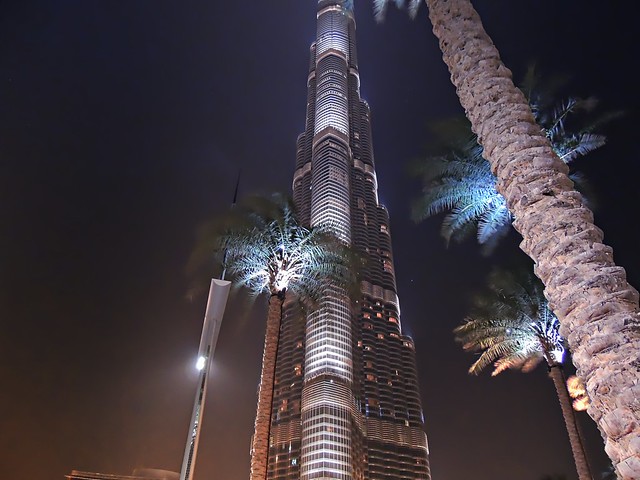 Palm trees and the world's tallest building in Dubai - Burj Khalifa
