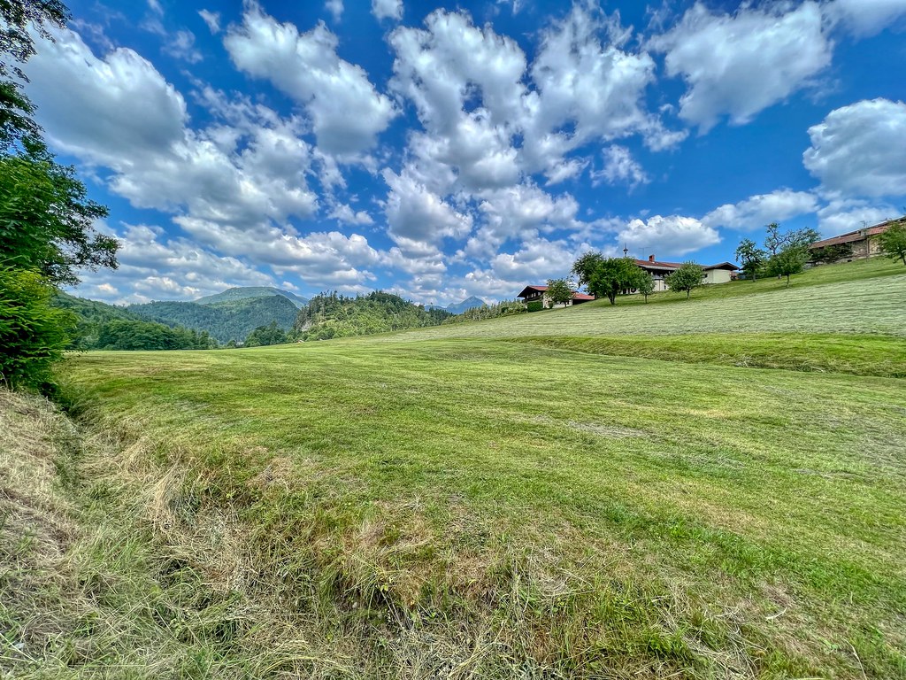 Field near Hechtsee in Tyrol, Austria