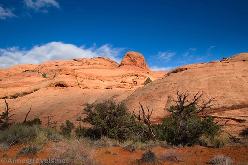 Rock formations along the Longbow Arch Trail near Moab, Utah
