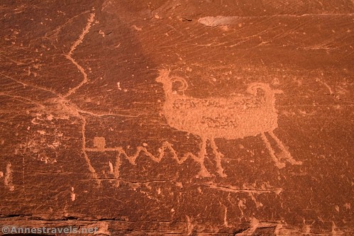 Very interesting rock art at the Poison Spider Dinosaur Tracks near Moab, Utah