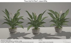 .:Tm:.Creation "Peace Lily Pot Plant" 3 types GP63
