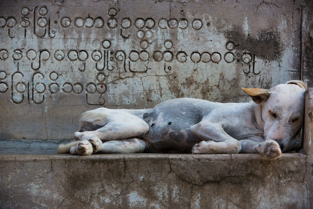 Birmanie: la sieste.